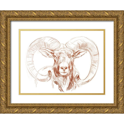 Big Horn Sheep I Gold Ornate Wood Framed Art Print with Double Matting by Parker, Jennifer Paxton