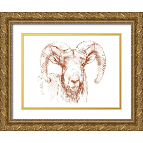 Big Horn Sheep II Gold Ornate Wood Framed Art Print with Double Matting by Parker, Jennifer Paxton