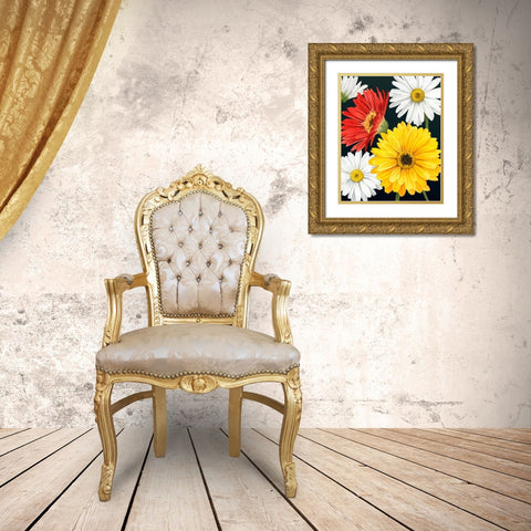 Gerbera Daisy II Gold Ornate Wood Framed Art Print with Double Matting by Popp, Grace