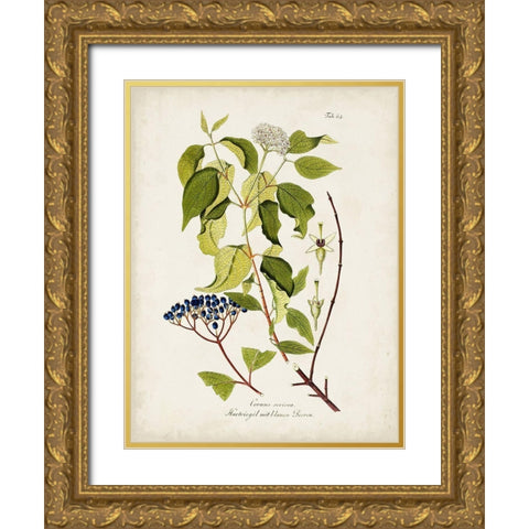 Tree in Bloom I Gold Ornate Wood Framed Art Print with Double Matting by Unknown