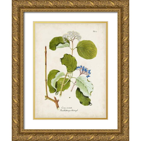 Tree in Bloom II Gold Ornate Wood Framed Art Print with Double Matting by Unknown