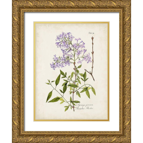 Tree in Bloom III Gold Ornate Wood Framed Art Print with Double Matting by Unknown