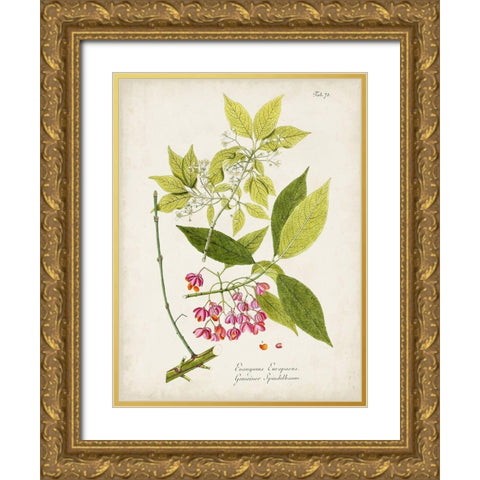 Tree in Bloom IV Gold Ornate Wood Framed Art Print with Double Matting by Unknown