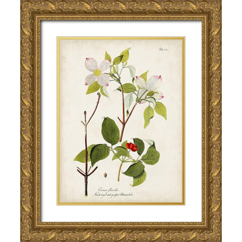 Tree in Bloom V Gold Ornate Wood Framed Art Print with Double Matting by Unknown