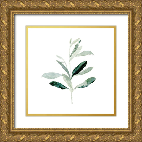 Summer Olive Branch II Gold Ornate Wood Framed Art Print with Double Matting by Caroline, Emma