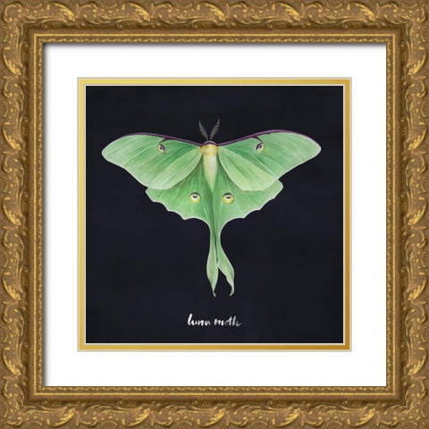 Luna Moth I Gold Ornate Wood Framed Art Print with Double Matting by Popp, Grace