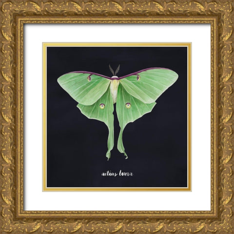 Luna Moth II Gold Ornate Wood Framed Art Print with Double Matting by Popp, Grace