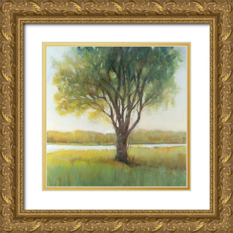 Shade Tree II Gold Ornate Wood Framed Art Print with Double Matting by OToole, Tim
