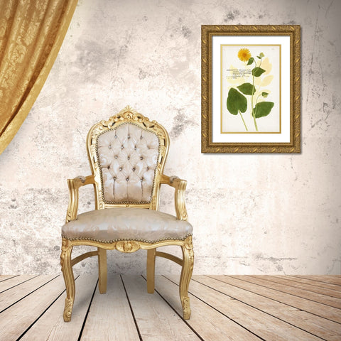 Nature Printed Botanicals I Gold Ornate Wood Framed Art Print with Double Matting by Unknown