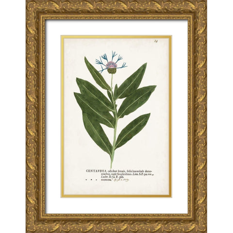 Nature Printed Botanicals II Gold Ornate Wood Framed Art Print with Double Matting by Unknown