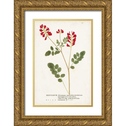 Nature Printed Botanicals III Gold Ornate Wood Framed Art Print with Double Matting by Unknown