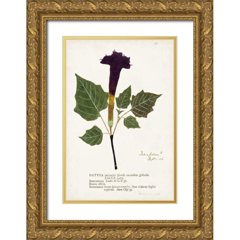 Nature Printed Botanicals IV Gold Ornate Wood Framed Art Print with Double Matting by Unknown