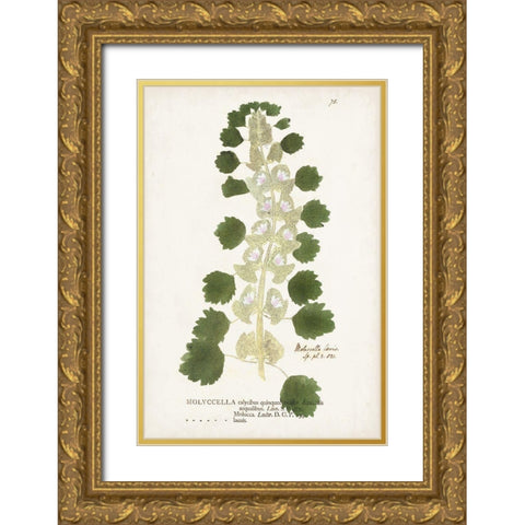 Nature Printed Ferns I Gold Ornate Wood Framed Art Print with Double Matting by Unknown