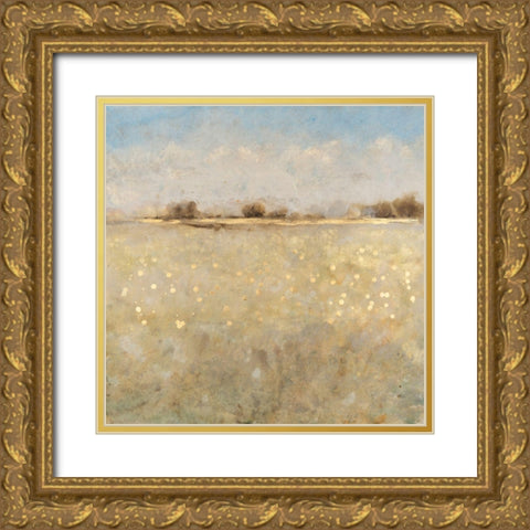 Meadow Plane I Gold Ornate Wood Framed Art Print with Double Matting by OToole, Tim