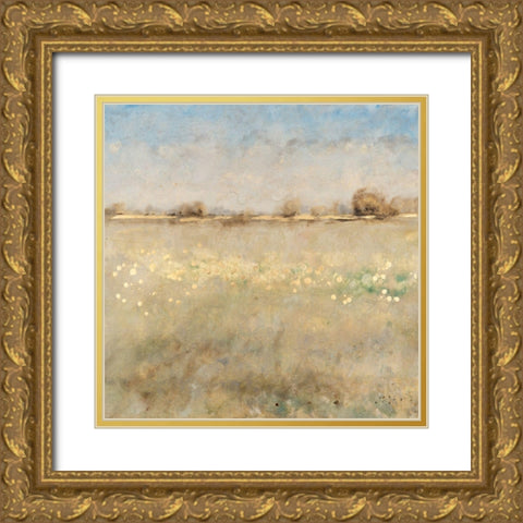 Meadow Plane II Gold Ornate Wood Framed Art Print with Double Matting by OToole, Tim