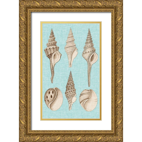 Sepia And Aqua Shells II Gold Ornate Wood Framed Art Print with Double Matting by Vision Studio