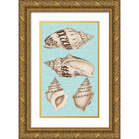 Sepia And Aqua Shells IV Gold Ornate Wood Framed Art Print with Double Matting by Vision Studio