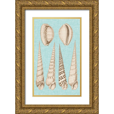 Sepia And Aqua Shells VI Gold Ornate Wood Framed Art Print with Double Matting by Vision Studio