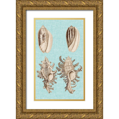 Sepia And Aqua Shells VII Gold Ornate Wood Framed Art Print with Double Matting by Vision Studio