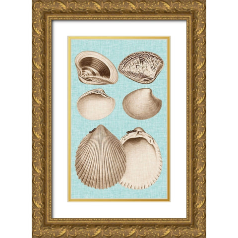 Sepia And Aqua Shells IX Gold Ornate Wood Framed Art Print with Double Matting by Vision Studio