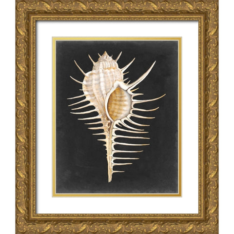 Graphic Spiny Murex Gold Ornate Wood Framed Art Print with Double Matting by Willett, Michael