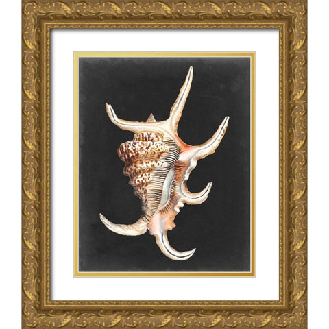 Graphic Spider Conch Gold Ornate Wood Framed Art Print with Double Matting by Willett, Michael