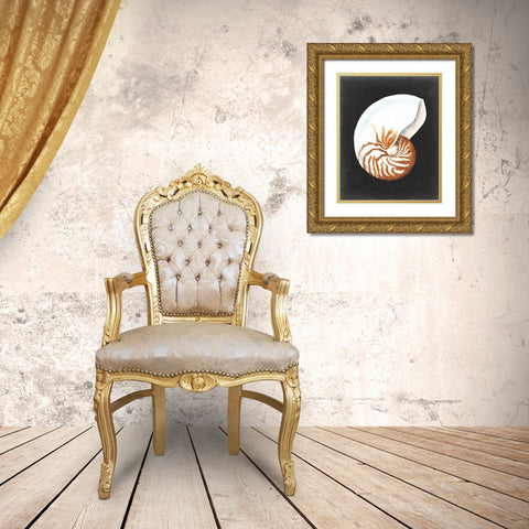 Graphic Nautilus Gold Ornate Wood Framed Art Print with Double Matting by Willett, Michael