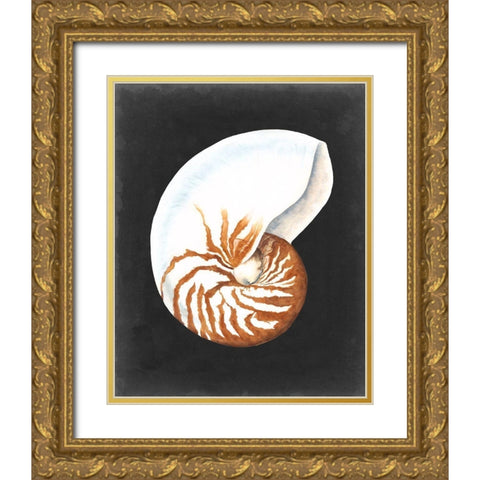 Graphic Nautilus Gold Ornate Wood Framed Art Print with Double Matting by Willett, Michael