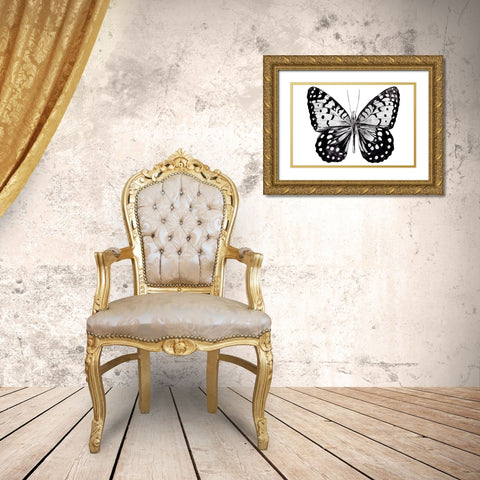 Monochrome Wings Whole I Gold Ornate Wood Framed Art Print with Double Matting by Warren, Annie