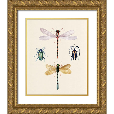 Insect Varieties I Gold Ornate Wood Framed Art Print with Double Matting by Warren, Annie