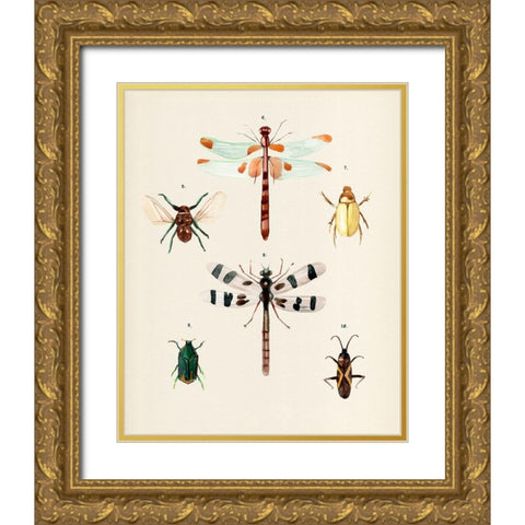 Insect Varieties II Gold Ornate Wood Framed Art Print with Double Matting by Warren, Annie
