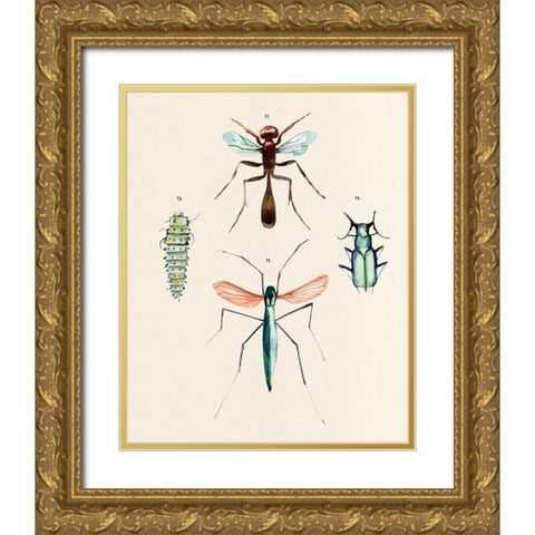 Insect Varieties III Gold Ornate Wood Framed Art Print with Double Matting by Warren, Annie