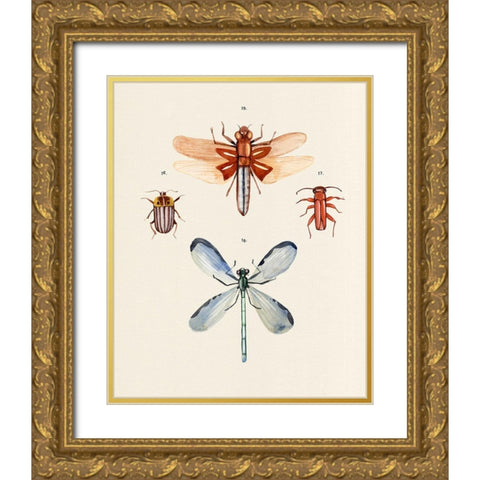 Insect Varieties IV Gold Ornate Wood Framed Art Print with Double Matting by Warren, Annie
