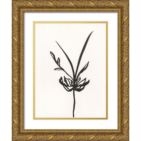 Ink Botanical Sketch I Gold Ornate Wood Framed Art Print with Double Matting by Holland, J.