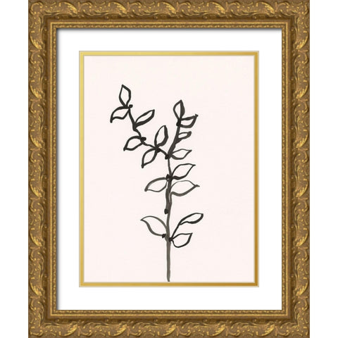 Ink Botanical Sketch X Gold Ornate Wood Framed Art Print with Double Matting by Holland, J.