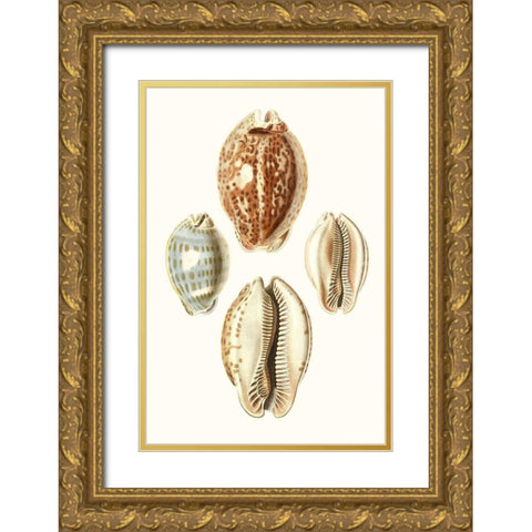 Lamarck Shells III Gold Ornate Wood Framed Art Print with Double Matting by Lamarck