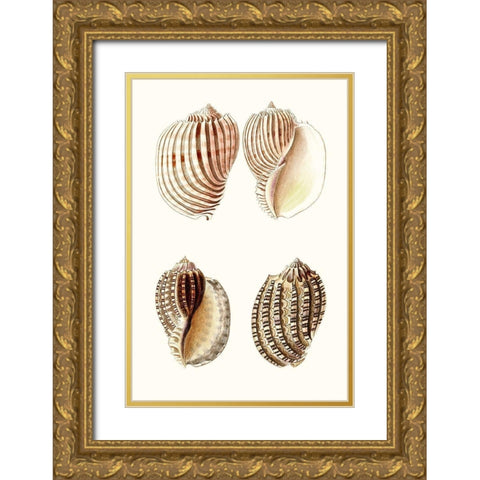 Lamarck Shells V Gold Ornate Wood Framed Art Print with Double Matting by Lamarck