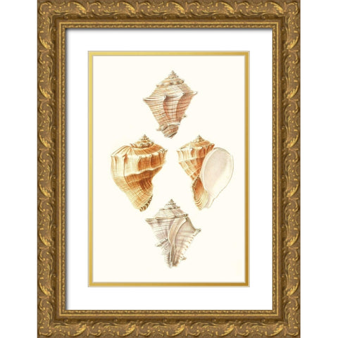 Lamarck Shells VI Gold Ornate Wood Framed Art Print with Double Matting by Lamarck
