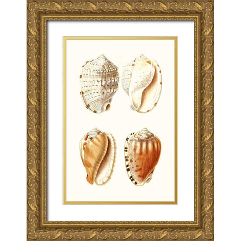Lamarck Shells VII Gold Ornate Wood Framed Art Print with Double Matting by Lamarck