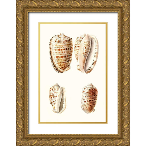 Lamarck Shells VIII Gold Ornate Wood Framed Art Print with Double Matting by Lamarck
