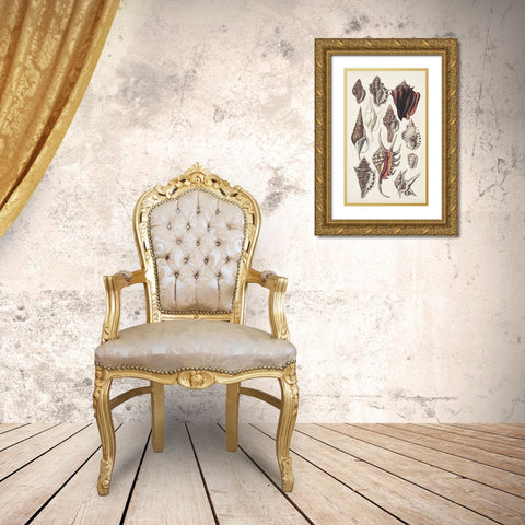 Seashell Array III Gold Ornate Wood Framed Art Print with Double Matting by Sowerby, G.B.