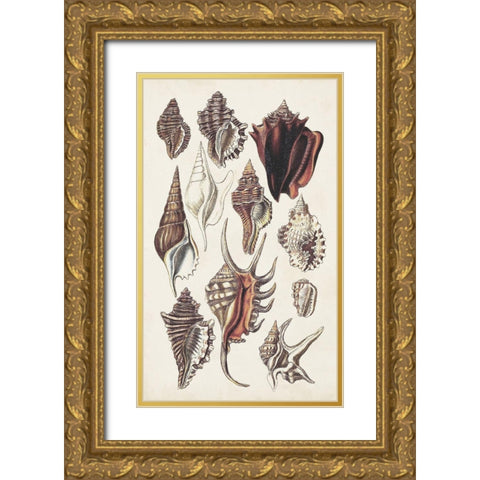 Seashell Array III Gold Ornate Wood Framed Art Print with Double Matting by Sowerby, G.B.