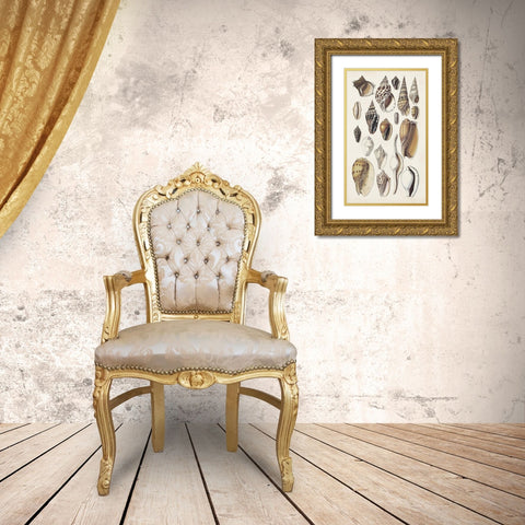 Seashell Array IV Gold Ornate Wood Framed Art Print with Double Matting by Sowerby, G.B.