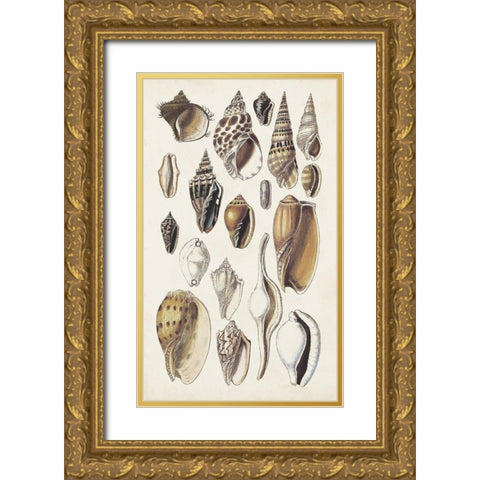 Seashell Array IV Gold Ornate Wood Framed Art Print with Double Matting by Sowerby, G.B.