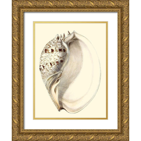 Splendid Shells I Gold Ornate Wood Framed Art Print with Double Matting by Vision Studio