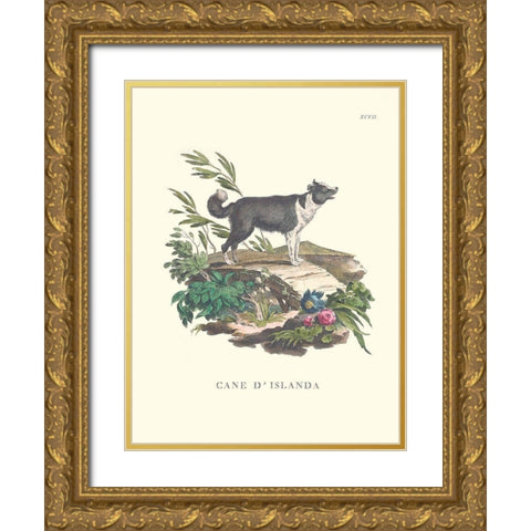 French Dogs II Gold Ornate Wood Framed Art Print with Double Matting by Unknown
