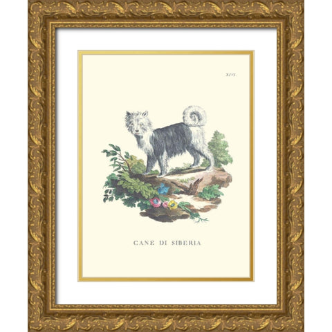 French Dogs IV Gold Ornate Wood Framed Art Print with Double Matting by Unknown