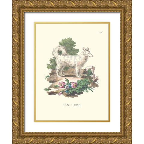 French Dogs VII Gold Ornate Wood Framed Art Print with Double Matting by Unknown