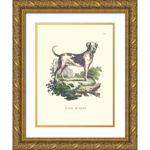 French Dogs IX Gold Ornate Wood Framed Art Print with Double Matting by Unknown