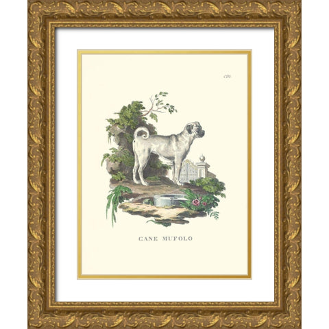 French Dogs X Gold Ornate Wood Framed Art Print with Double Matting by Unknown